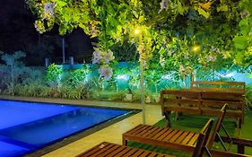 Yala Golden Wild